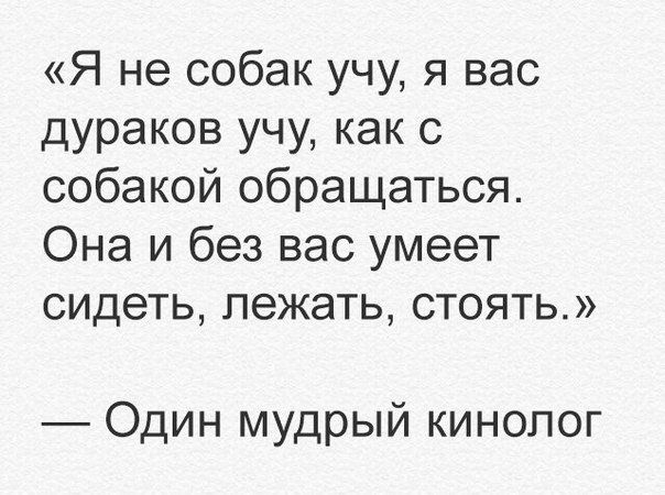 Мозгокекс в текстах