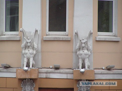 Я люблю Владивосток