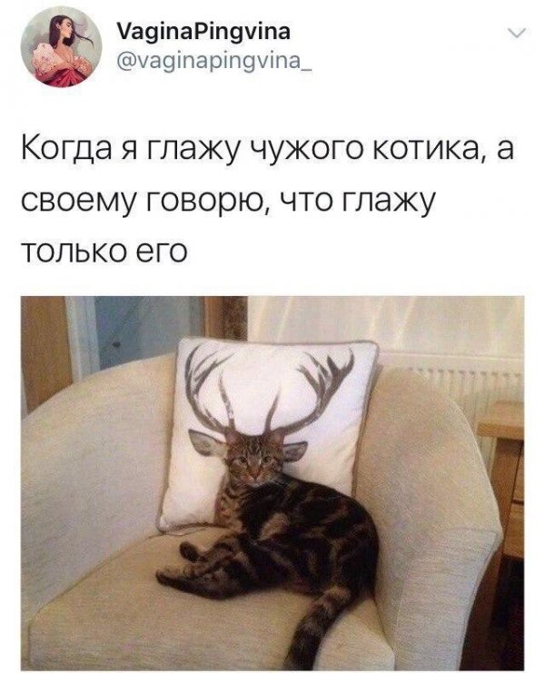 На мемы надейся, а сам не плошай! 12.02.22