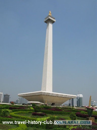 Они живут только 40 лет