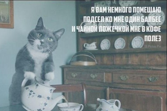 Пирожки