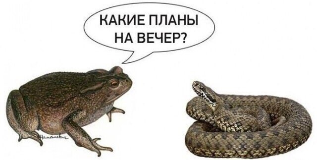 Пресс-секретарь президента Чехии женился на украинке, которую приютил как беженку