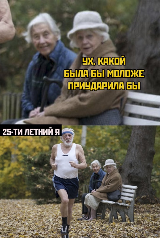 Весёлый полтишок 21.11.22