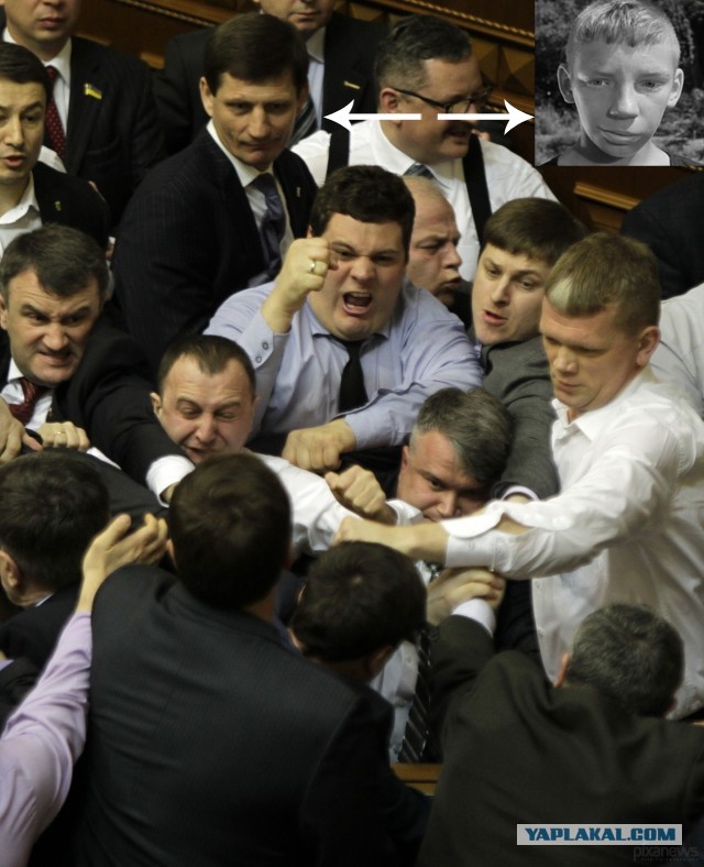 Фотожаба "Политдрака"