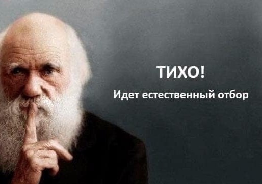 Прилетело по жопе