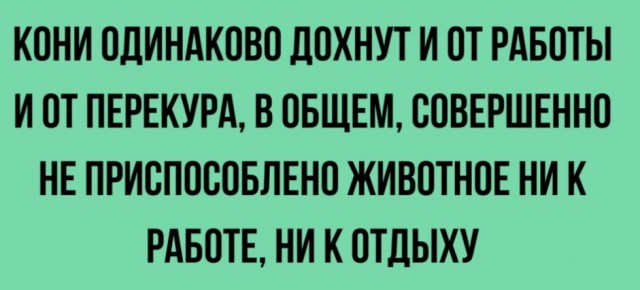 Немного картинок для настроения - 127