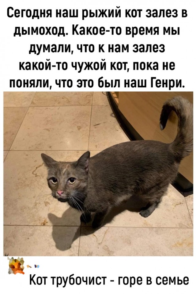 Картинки и мемы, всем хороших выходных