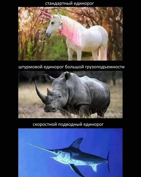 Весёлый полтишок 12.03.23