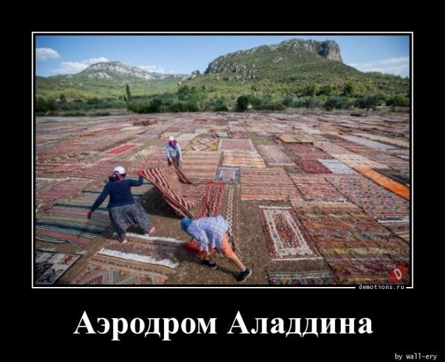 Немного картинок 07.05.23