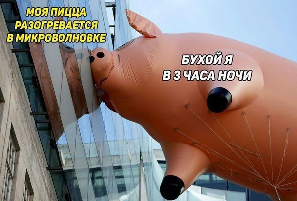 Подборка картинок 08.05.23