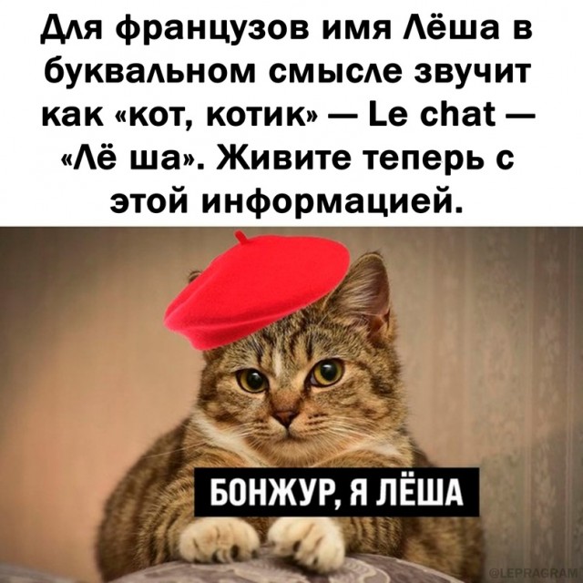 Картинки и мемы, всяко разно - 179