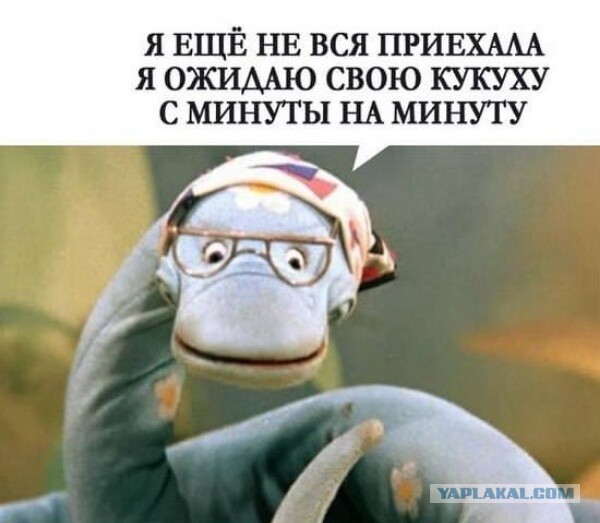 Чудо. Конкурс Коротких Креативов № 28.  На Старт!