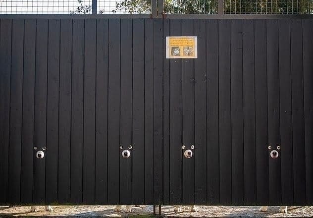 Город может спать спокойно, все под надзором