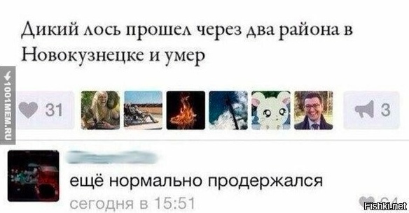Нуштош 11.09.2023