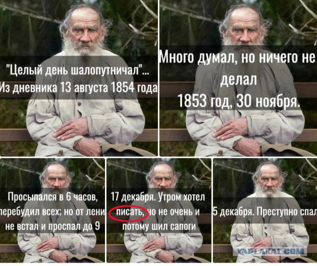 Отряд быстрого деградирования