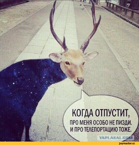 Король новозеландского коренного народа маори призвал признать китов личностями и дать им те же законные права, что и людям
