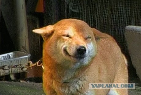 Перцовые балоны