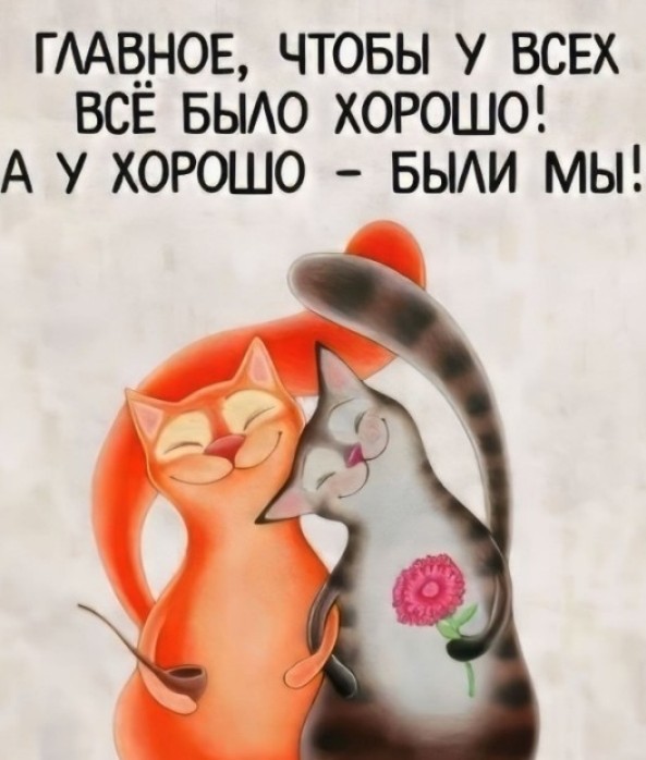 Жизнь домашнего приюта для котеек 494