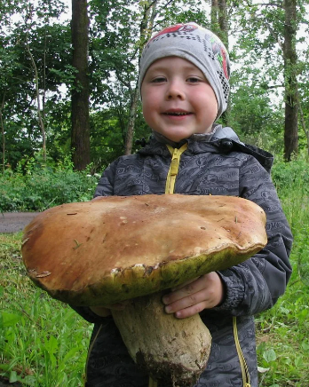 Уральские слова