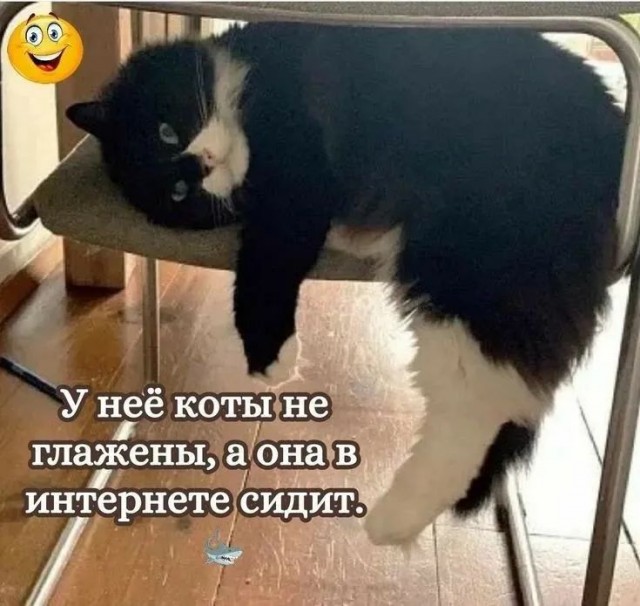 Весёлые картинки