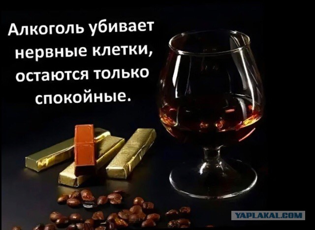 Картинки не для всех