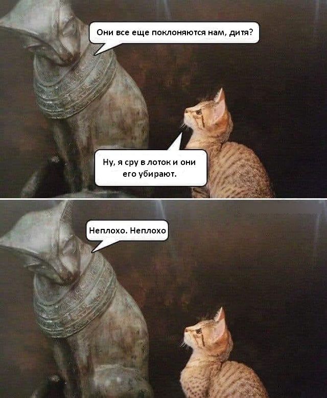 Котики стали мемом еще в XIX веке
