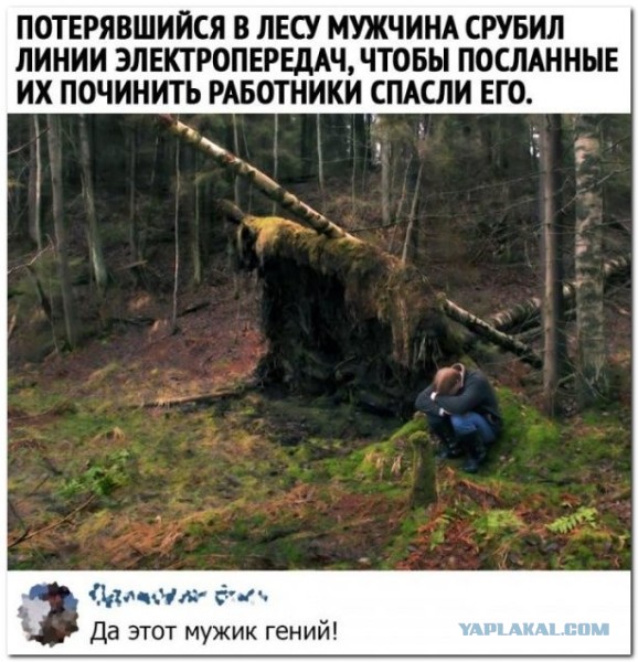Так себе картинки 20.08.25