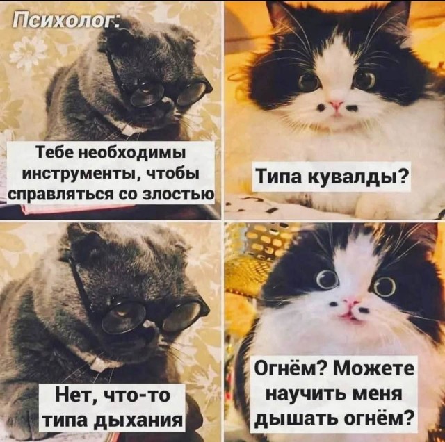 К котовторнику: подборка картинок-баянов с котиками и про котиков. Выпуск 19.