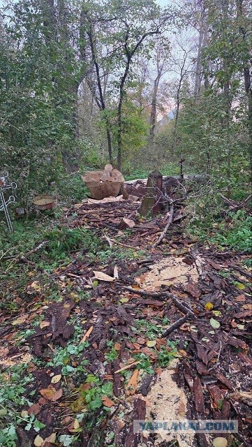 Тюмень обезврежены три БПЛА у НПЗ