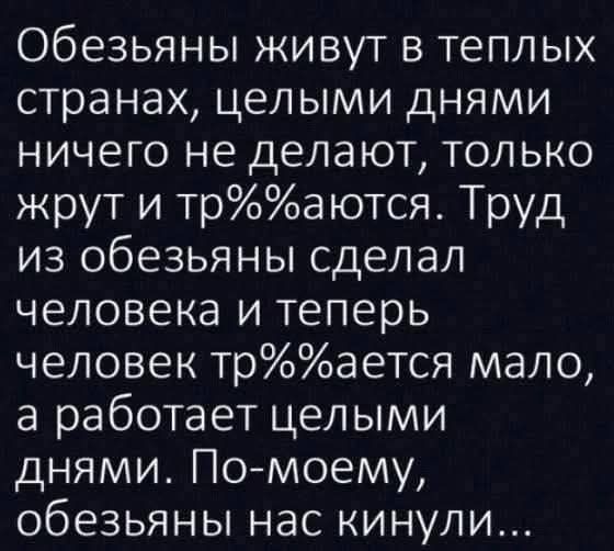 20477295.jpg