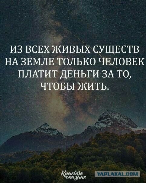 Дегрономикон  депрессивный 3