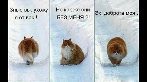 Уйду я от вас, злые вы