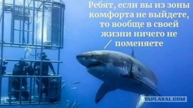А мы вообще когда-то жили?