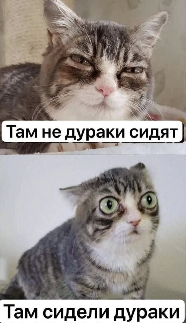 Эбокартинки с эбонадписями