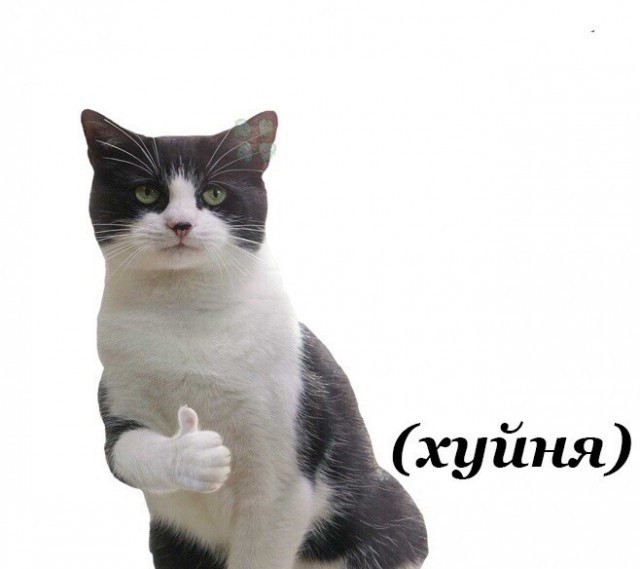 Могу ли я предложить Вам сисечку в эти нелёгкие времена?