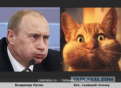 20 актеров, идеально перевоплотившихся