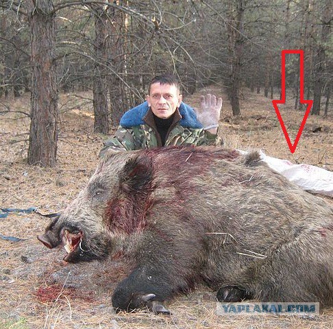 Хрюша и Филя