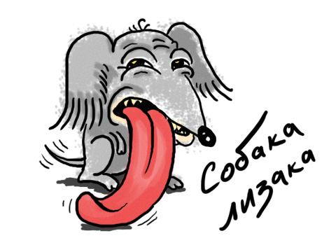 Собаки - одуреваки.