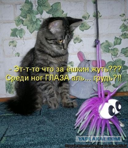 Прикольные картинки на понедельник .