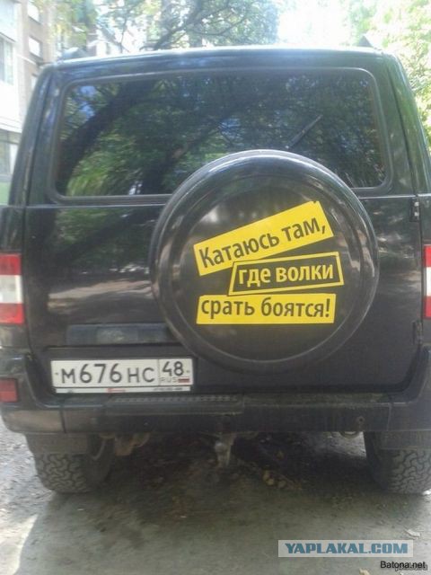 Картинки с утра.