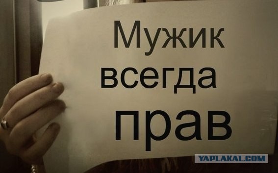 Подборка весёлых картинок