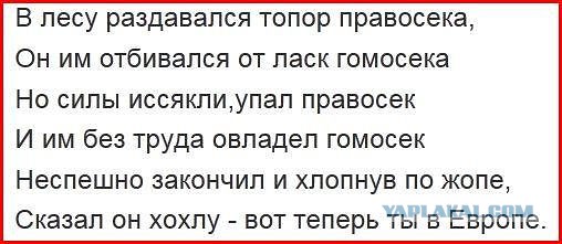 Подборка веселых картинок
