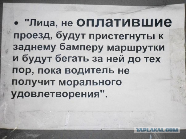 Забавные картинки из интернетов