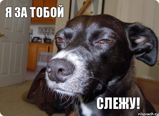 Семейный батл Mortal Kombat