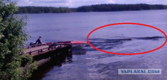 Строим беседку с мангалами