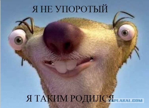 Волшебный тумблер