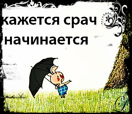 Картинка кажется срач начинается