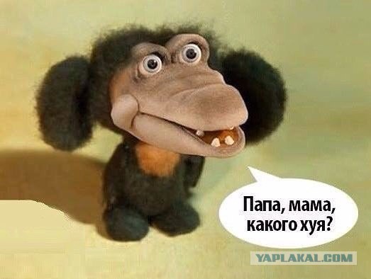 Картинки набрались разные