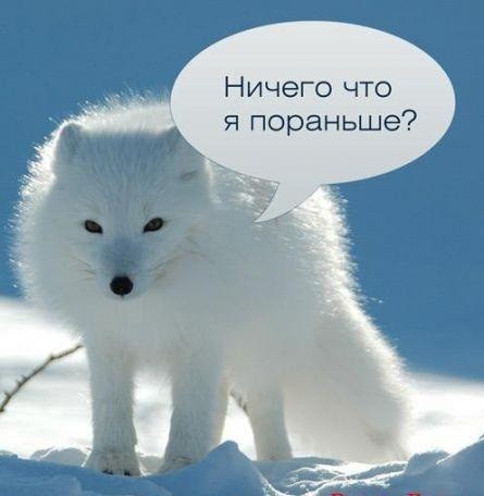 Немного грустных улыбок по 404