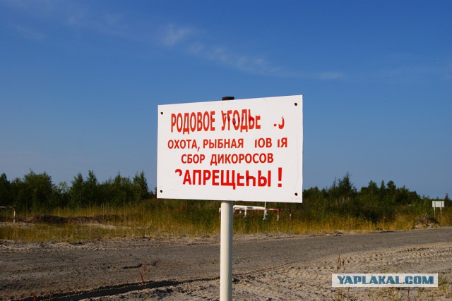Оленевод застрелил менеджеров «Газпрома»